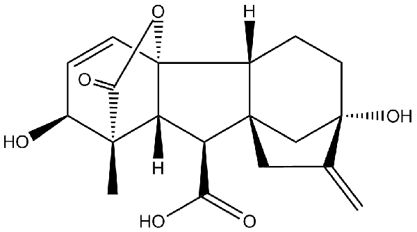 赤霉素GIBBERELLIC ACID，居然有這么神奇？