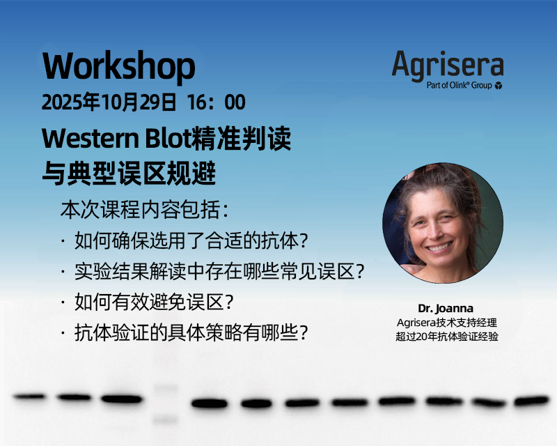 Agrisera講座 II：Western Blot精準判讀與典型誤區規避